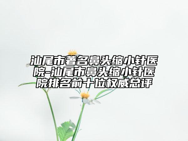 汕尾市著名鼻头缩小针医院-汕尾市鼻头缩小针医院排名前十位权威总评