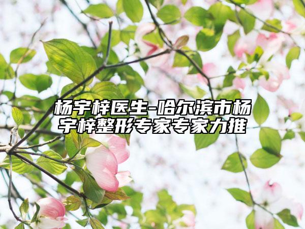 杨宇梓医生-哈尔滨市杨宇梓整形专家专家力推