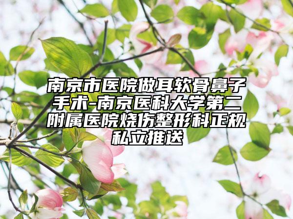 南京市医院做耳软骨鼻子手术-南京医科大学第二附属医院烧伤整形科正规私立推送