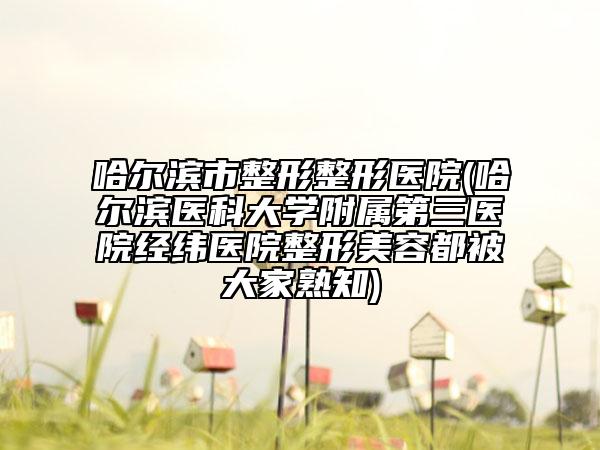 哈尔滨市整形整形医院(哈尔滨医科大学附属第三医院经纬医院整形美容都被大家熟知)