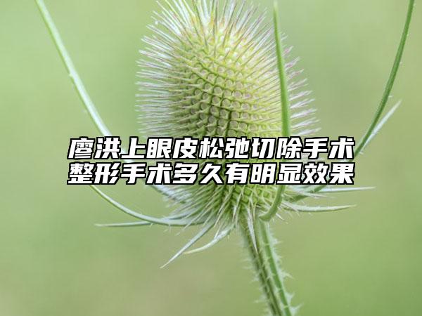廖洪上眼皮松弛切除手术整形手术多久有明显效果