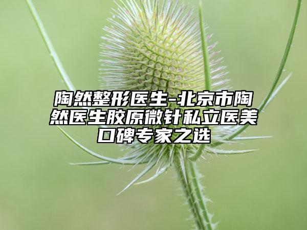 陶然整形医生-北京市陶然医生胶原微针私立医美口碑专家之选