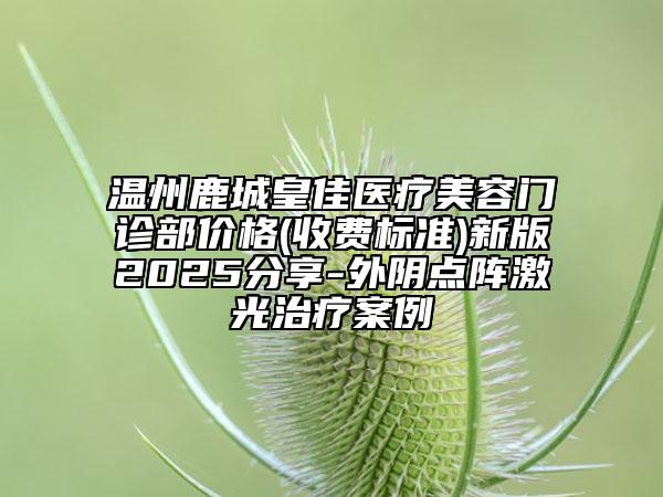 温州鹿城皇佳医疗美容门诊部价格(收费标准)新版2025分享-外阴点阵激光治疗案例