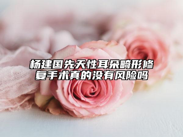 杨建国先天性耳朵畸形修复手术真的没有风险吗