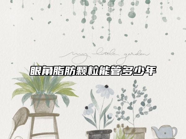 眼角脂肪颗粒能管多少年