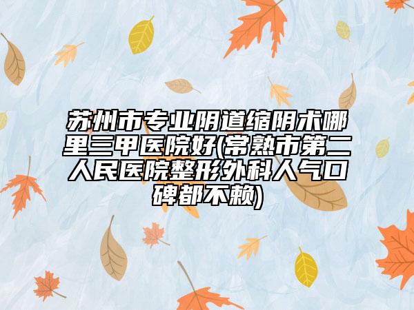 苏州市专业阴道缩阴术哪里三甲医院好(常熟市第二人民医院整形外科人气口碑都不赖)