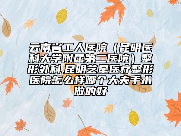 云南省工人医院（昆明医科大学附属第二医院）整形外科,昆明艺星医疗整形医院怎么样哪个大夫手术做的好
