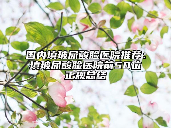 国内填玻尿酸脸医院推荐：填玻尿酸脸医院前50位正规总结