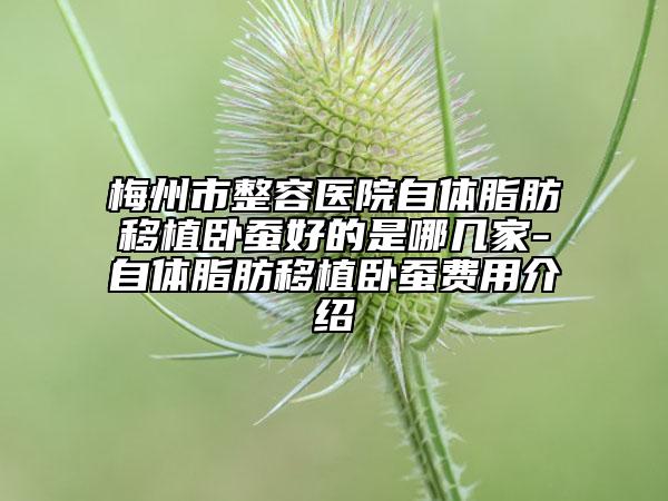 梅州市整容医院自体脂肪移植卧蚕好的是哪几家-自体脂肪移植卧蚕费用介绍