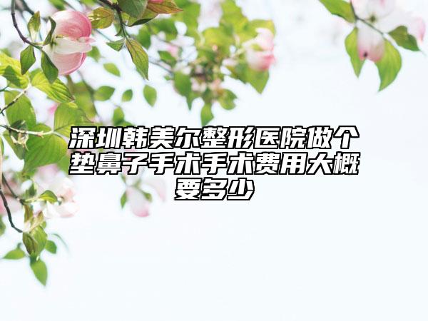 深圳韩美尔整形医院做个垫鼻子手术手术费用大概要多少