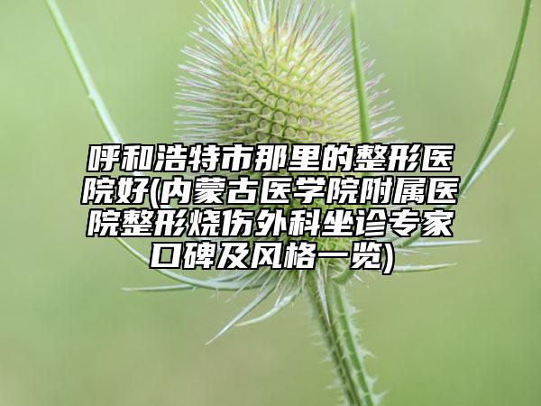 呼和浩特市那里的整形医院好(内蒙古医学院附属医院整形烧伤外科坐诊专家口碑及风格一览)