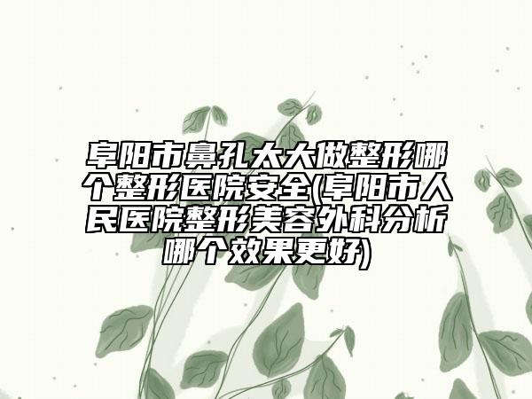 阜阳市鼻孔太大做整形哪个整形医院安全(阜阳市人民医院整形美容外科分析哪个效果更好)