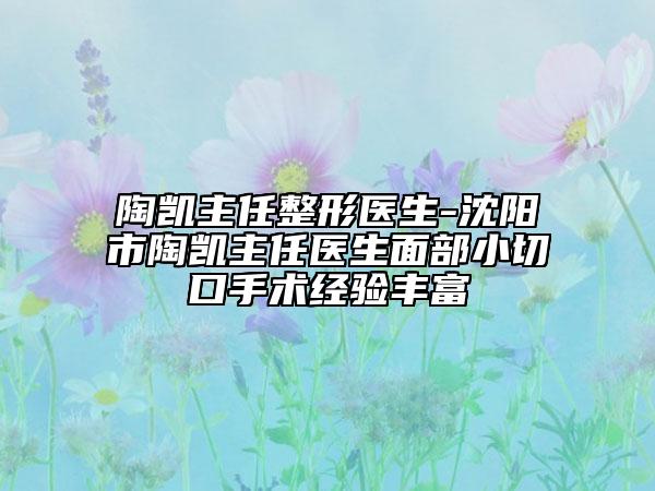 陶凯主任整形医生-沈阳市陶凯主任医生面部小切口手术经验丰富