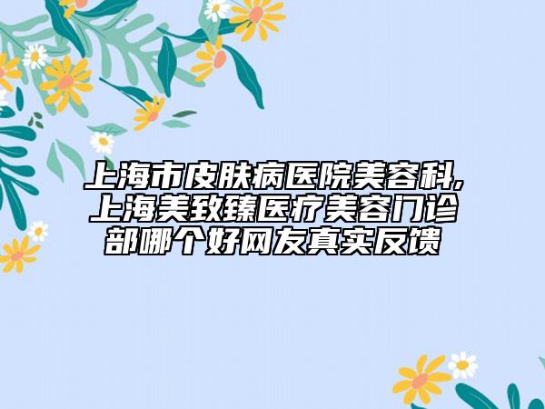 上海市皮肤病医院美容科,上海美致臻医疗美容门诊部哪个好网友真实反馈