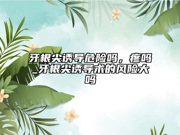 牙根尖诱导危险吗，疼吗_牙根尖诱导术的风险大吗