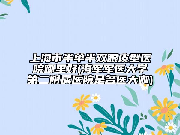 上海市半单半双眼皮型医院哪里好(海军军医大学第二附属医院是名医大咖)