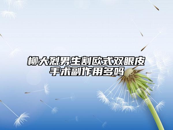 柳大烈男生割欧式双眼皮手术副作用多吗