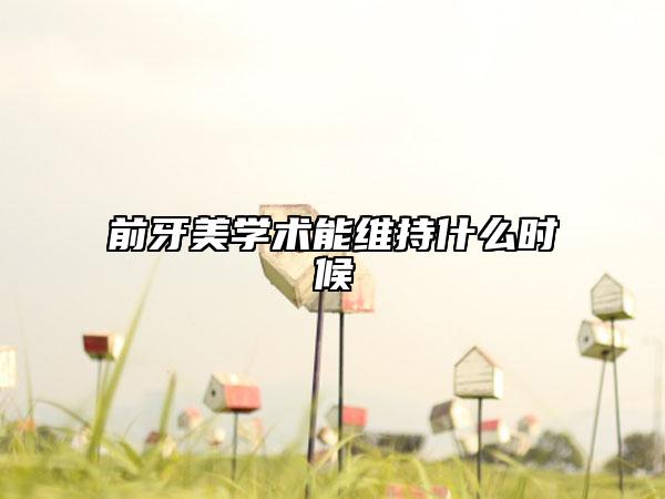 前牙美学术能维持什么时候