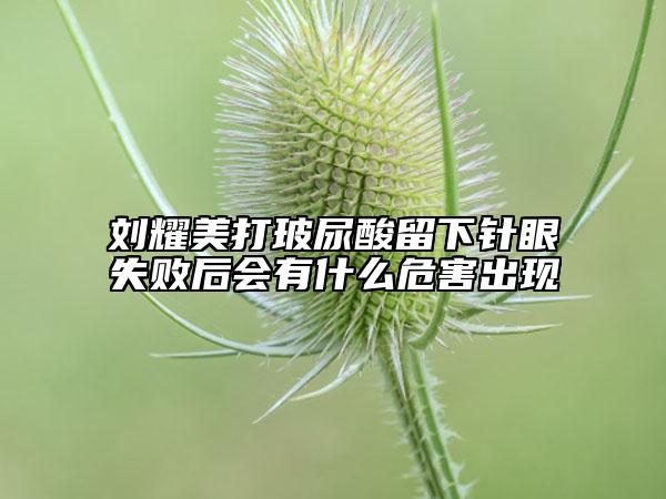 刘耀美打玻尿酸留下针眼失败后会有什么危害出现