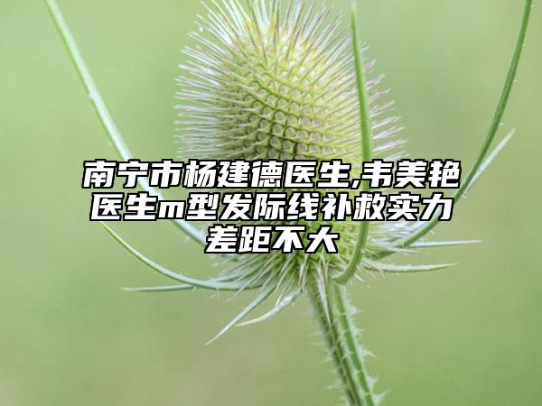 南宁市杨建德医生,韦美艳医生m型发际线补救实力差距不大