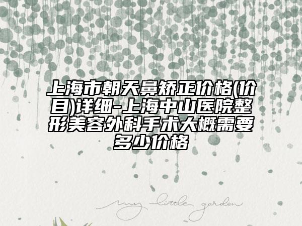 上海市朝天鼻矫正价格(价目)详细-上海中山医院整形美容外科手术大概需要多少价格