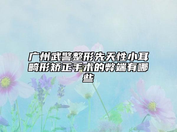 广州武警整形先天性小耳畸形矫正手术的弊端有哪些