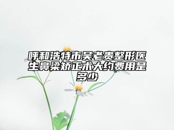 呼和浩特市吴老贵整形医生鼻梁矫正术大约费用是多少