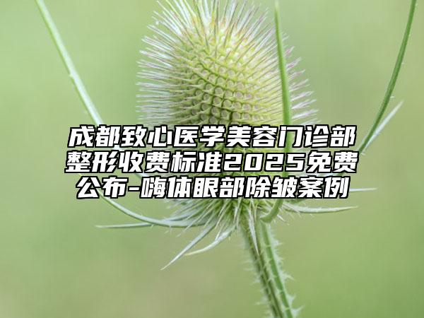 成都致心医学美容门诊部整形收费标准2025免费公布-嗨体眼部除皱案例
