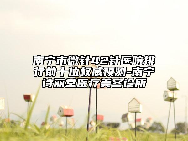 南宁市微针42针医院排行前十位权威预测-南宁诗丽堂医疗美容诊所