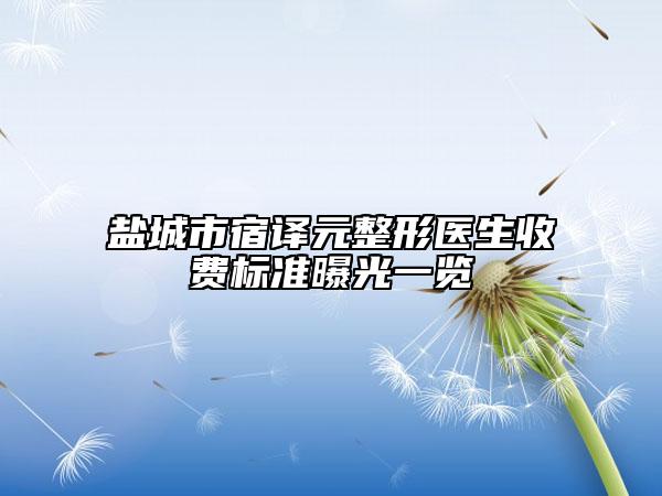 盐城市宿译元整形医生收费标准曝光一览