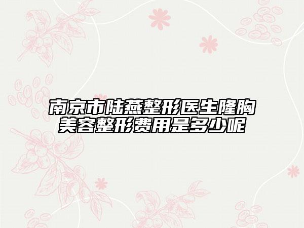 南京市陆燕整形医生隆胸美容整形费用是多少呢