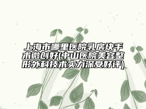 上海市哪里医院乳房块手术微创好(中山医院美容整形外科技术实力深受好评)