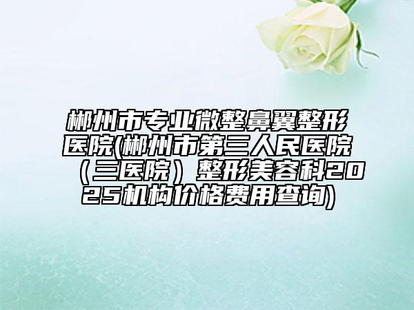郴州市专业微整鼻翼整形医院(郴州市第三人民医院（三医院）整形美容科2025机构价格费用查询)