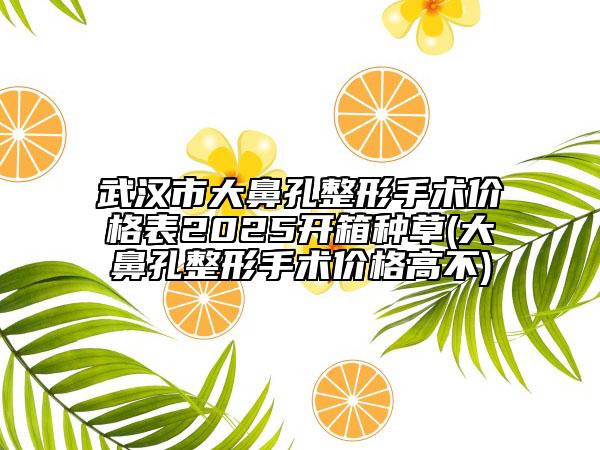 武汉市大鼻孔整形手术价格表2025开箱种草(大鼻孔整形手术价格高不)