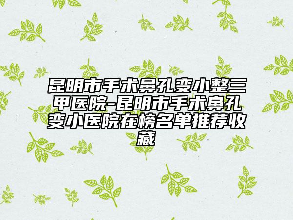 昆明市手术鼻孔变小整三甲医院-昆明市手术鼻孔变小医院在榜名单推荐收藏