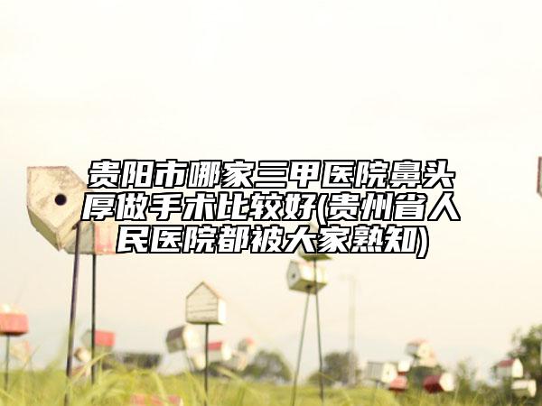贵阳市哪家三甲医院鼻头厚做手术比较好(贵州省人民医院都被大家熟知)