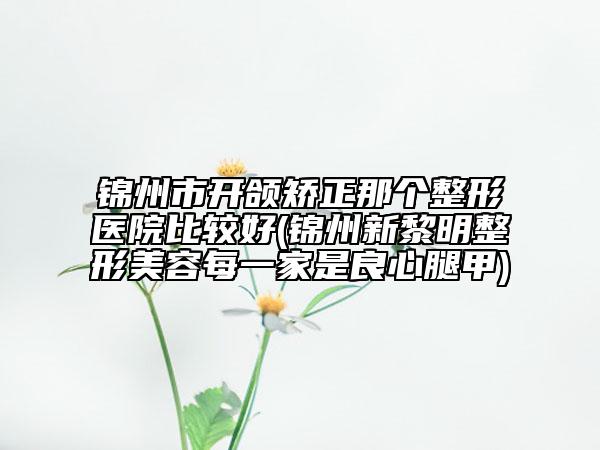 锦州市开颌矫正那个整形医院比较好(锦州新黎明整形美容每一家是良心腿甲)