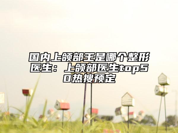 国内上颌部王是哪个整形医生：上颌部医生top50热搜预定