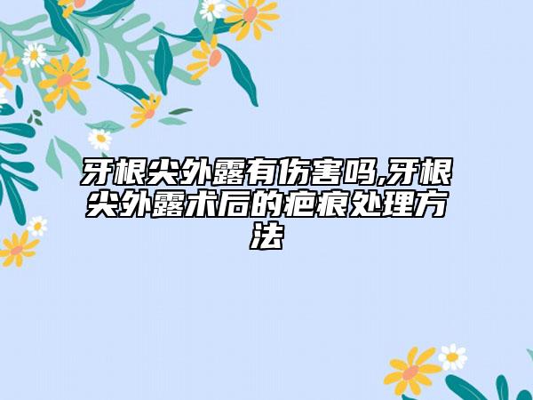 牙根尖外露有伤害吗,牙根尖外露术后的疤痕处理方法