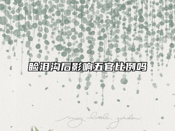 睑泪沟后影响五官比例吗