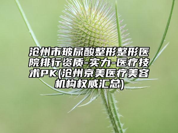 沧州市玻尿酸整形整形医院排行资质-实力-医疗技术PK(沧州京美医疗美容机构权威汇总)