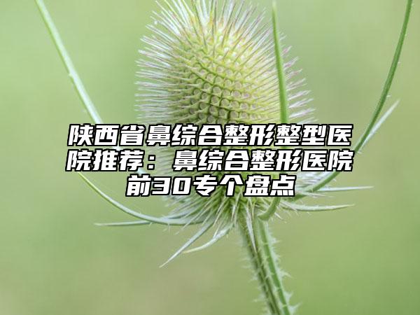 陕西省鼻综合整形整型医院推荐：鼻综合整形医院前30专个盘点