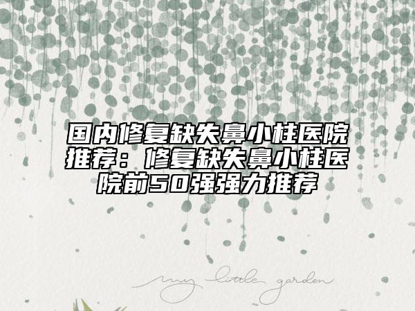 国内修复缺失鼻小柱医院推荐：修复缺失鼻小柱医院前50强强力推荐