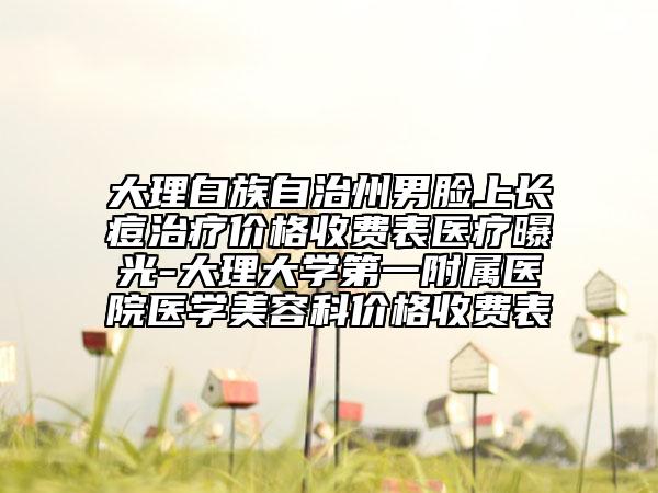 大理白族自治州男脸上长痘治疗价格收费表医疗曝光-大理大学第一附属医院医学美容科价格收费表