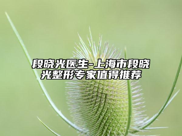段晓光医生-上海市段晓光整形专家值得推荐