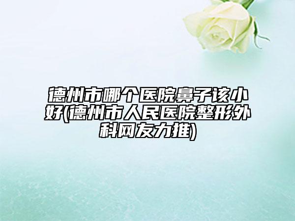 德州市哪个医院鼻子该小好(德州市人民医院整形外科网友力推)