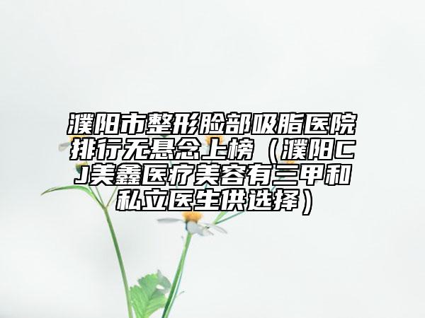 濮阳市整形脸部吸脂医院排行无悬念上榜（濮阳CJ美鑫医疗美容有三甲和私立医生供选择）