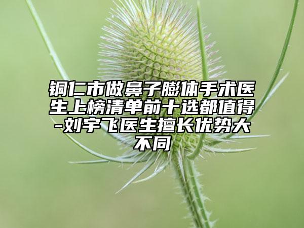 铜仁市做鼻子膨体手术医生上榜清单前十选都值得-刘宇飞医生擅长优势大不同