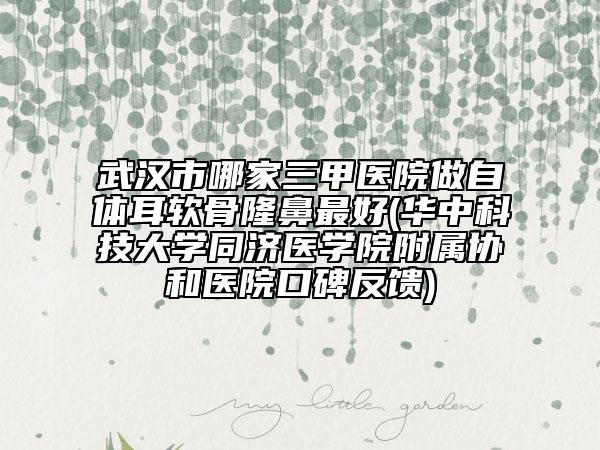 武汉市哪家三甲医院做自体耳软骨隆鼻最好(华中科技大学同济医学院附属协和医院口碑反馈)