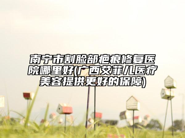 南宁市割脸部疤痕修复医院哪里好(广西艾菲儿医疗美容提供更好的保障)